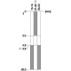 3SE5132-0PC03