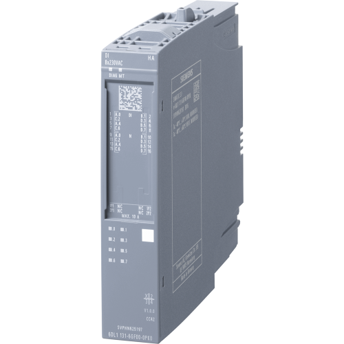 6DL1131-6GF00-0PK0