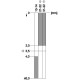 3SE5122-0KB01