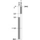 3SE5112-0BC02